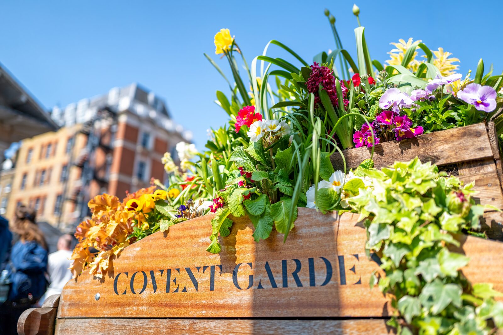 The restored market hall at Covent Garden in London