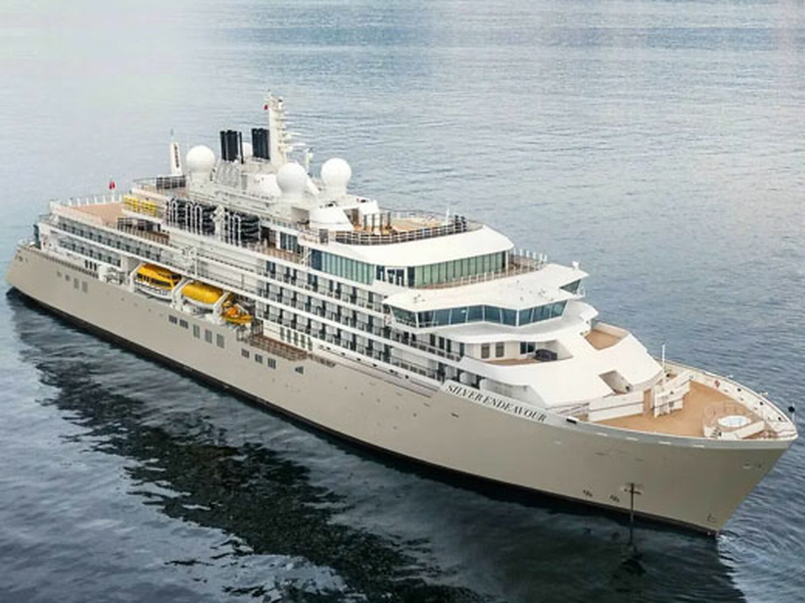 Silver Endeavour